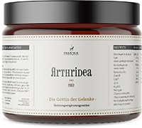 Glucosamin Chondroitin MSM Pulver