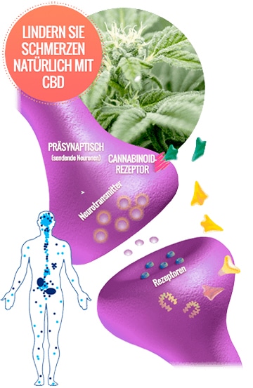 sarahs blessing cbd fruchtgummis test erfahrungen